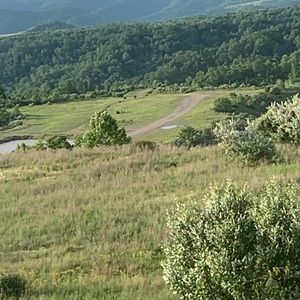 Meet your Posher, Alaina